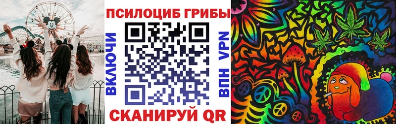 Псилоцибиновые грибы Psilocybe Купить где Голицыно